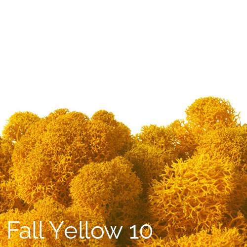Polarmoss Fall Yellow