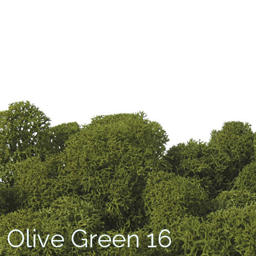 Polarmoss Olive Green